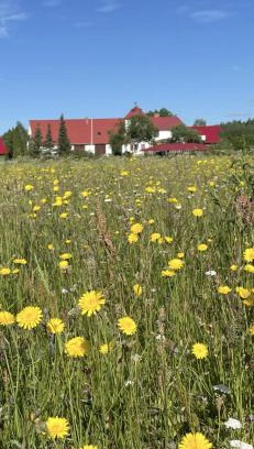 Aluksne Municipality Casa | Viesu māja Bitītes