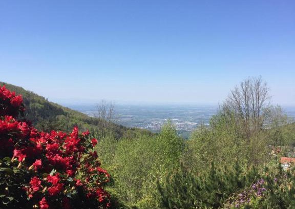 Sasbachwalden Apartamento | View from the Rock