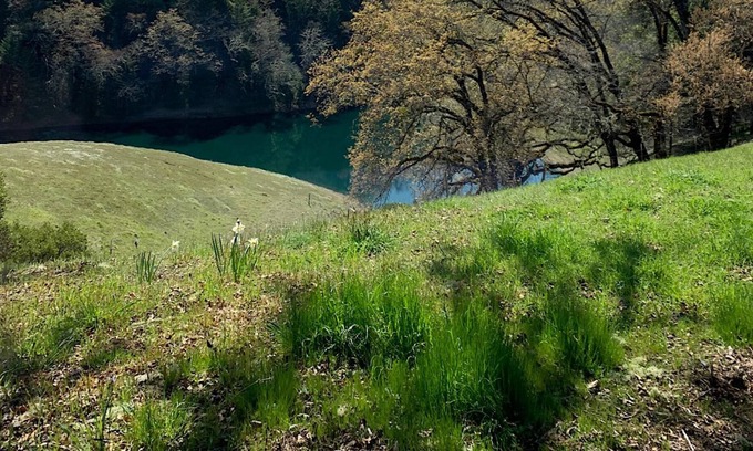 Ukiah Casa | VIEWS!! Last Minute/Longer Stay SPECIALS!