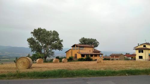 Anghiari Apartamento | Vigna del Poggio
