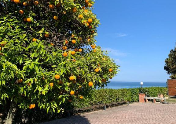 Fermo Apartamento | Vigna Sul Mare