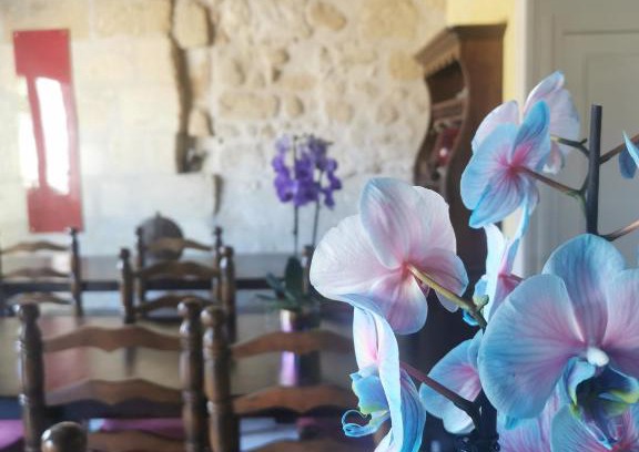 Saint-Emilion Cama Y Desayuno | Vignobles Fabris