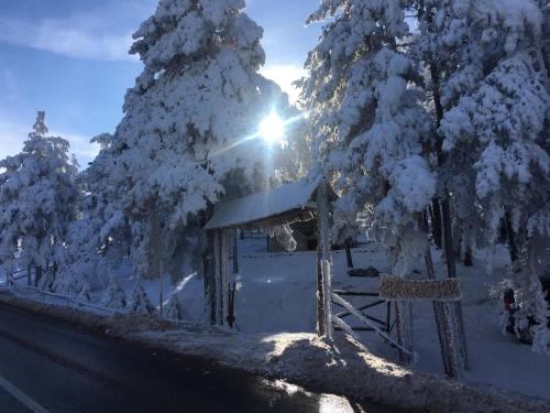 Divcibare Casa | Vikendica Martinović
