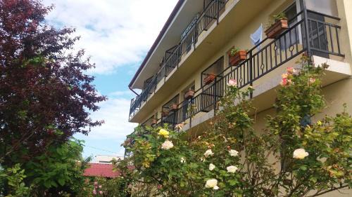 Vama Veche Casa | Vila Albatros