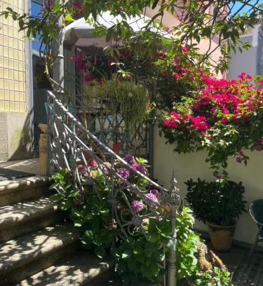 Paranhos Cama Y Desayuno | Vila Camélia