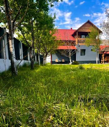 Viseu de Jos Casa | Vila din Grădină