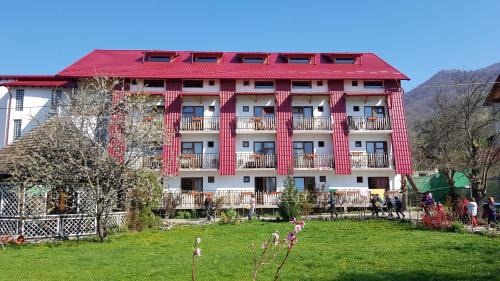 Oestii Paminteni Villa | Vila Dracula