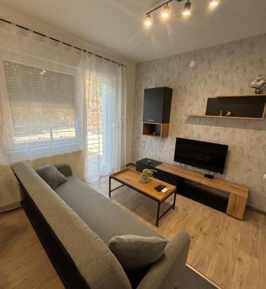 Vukovar Apartamento | Vila Galerija