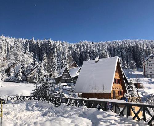 Kopaonik Apartamento | Vila Irina - Apartman Miloš
