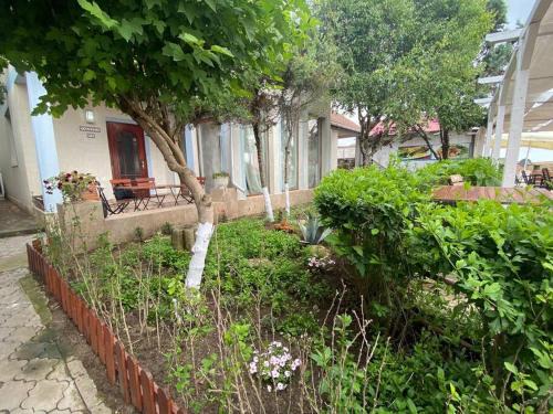 Vama Veche Casa | Vila Karina Beachfront Vama Veche