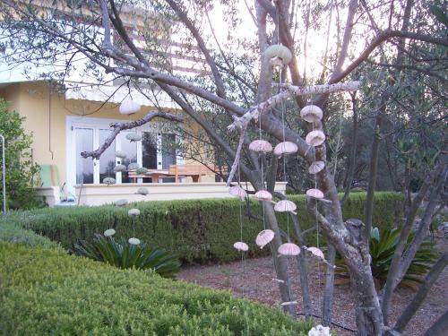 Kukljica Apartamento | Vila Kuncabok
