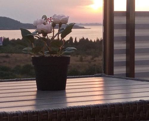 Chernomorets Casa | Vila Mihnevi