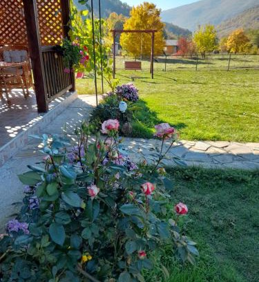 Mokra Gora Apartamento | Vila Petar