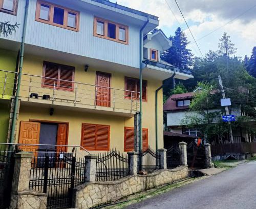 Slanic-Moldova Casa | Vila Robert