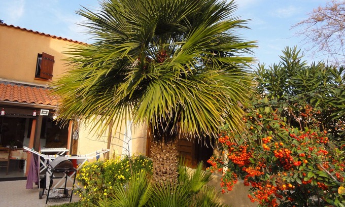 Port Leucate Casa | Villa 3 *** garaje, 2 dormitorios, 2 baños, aire acondicionado, 6 pers. PUERTO LEUCATE