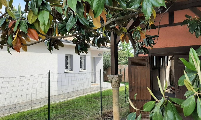 Pontenx-les-Forges Casa | Villa 8 personas con piscina cerca de Mimizan