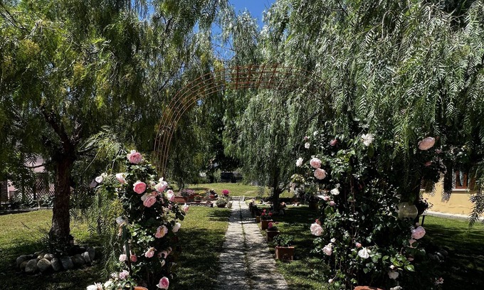 Campo nell'Elba Apartamento | Villa Aiali Appartamento Primule