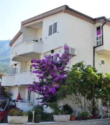 Bar Hotel | Villa ALEA