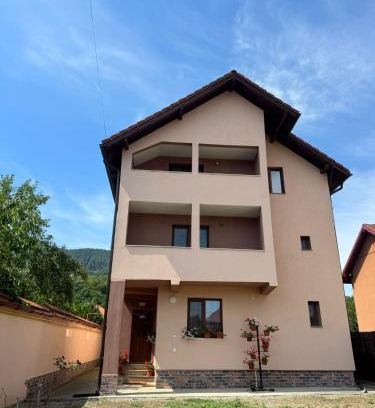 Calimanesti Casa | Villa Alexandra