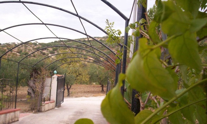 Sciacca Historic Centre Villa | Villino A en Villa Angela (Chien, perro, perros)