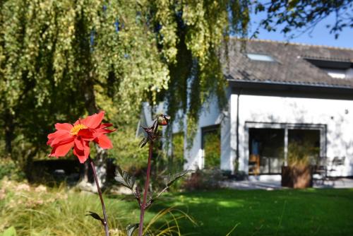 Bruinisse Casa | Villa Astrantia