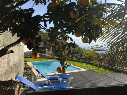 Arco da Calheta Casa | Villa Atlantis