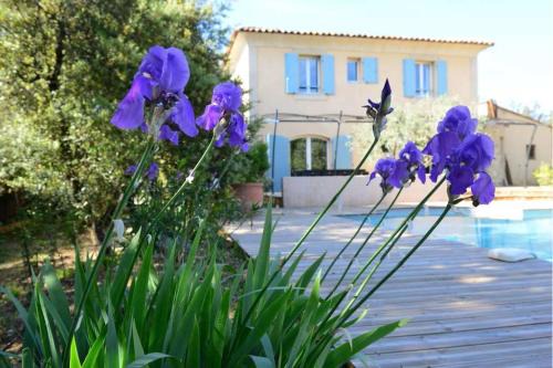 La Bastide-des-Jourdans Casa | Villa au calme et sans vis à vis , proche du village