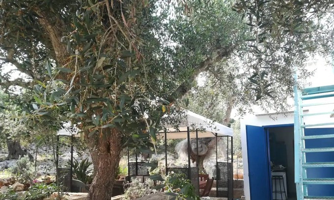Marina Serra Villa | Villa 'Azzurro Salento 5' with Sea View, Shared Pool and Wi-Fi