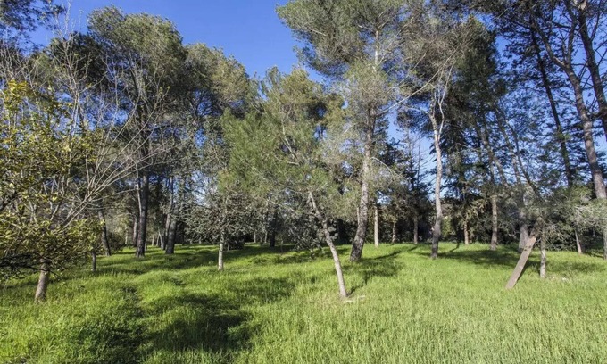 Manduria Cabaña | Villa Cardinale in Salento with pinewood and swimming pool. Puglia.