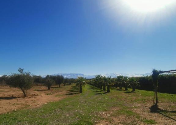 Sidi Abdallah Ghiat Villa | Villa charme du desert