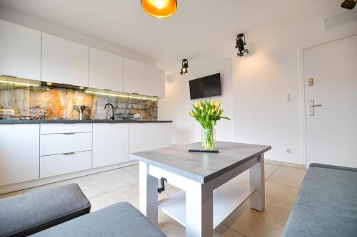 gmina Przeciszow Apartamento | VILLA COASTER ENERGYLANDIA - Zator