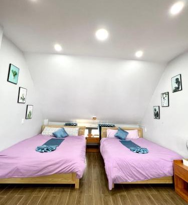 Da Lat Hotel | Villa & Coffee Garden