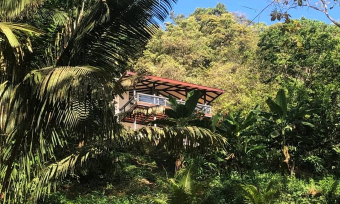 Cedros Villa | Villa copa de árbol, vista al mar, piscina, playa