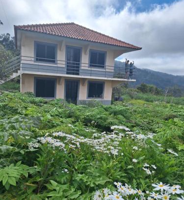 Sao Roque do Faial Casa | Villa Correia - Ribeiro Frio