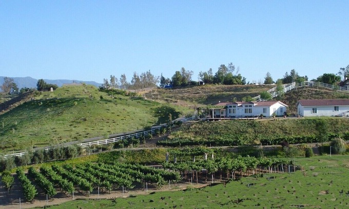 Temecula Villa | Villa CostaMonto Wine Country Estate