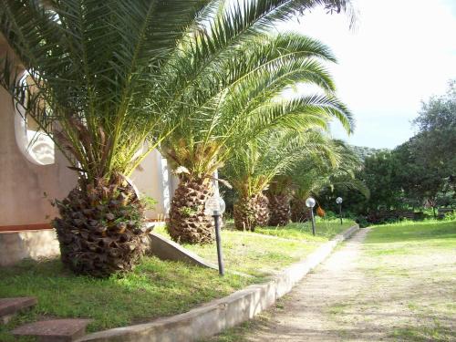 Badesi Casa | Villa del Palmeto