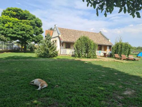 Becej Apartamento | Villa Diiva Čurug
