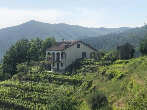 Mezzanego Casa | Villa ELENA
