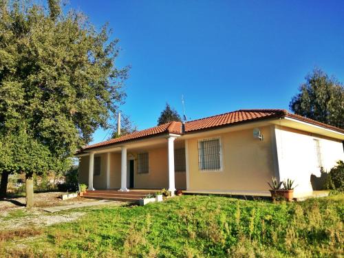 Puntone Casa | Villa Eucalipti