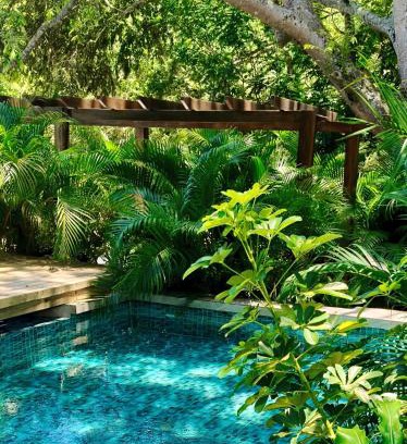 Palomino Cama Y Desayuno | Villa Fátima Campestre