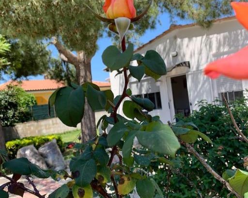 Punta Milocca Casa | Villa Fiori giardino, 400 m. mare con parcheggio