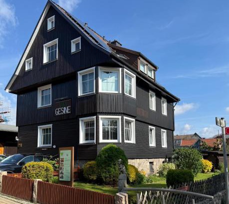 Braunlage Casa | Villa Gesine