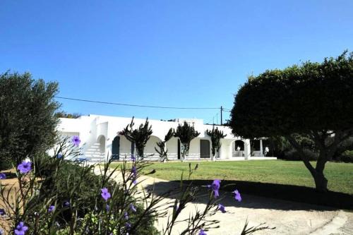 Leros Villa | Villa Omega in Kokkali, Leros