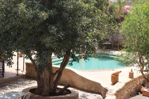 Essaouira Cama Y Desayuno | Villa Grenadine