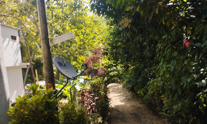 Santa Marta Casa | Villa Guadua Tayrona