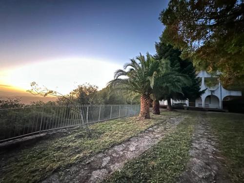 Raccuja Cama Y Desayuno | Villa il Vecchio Abete