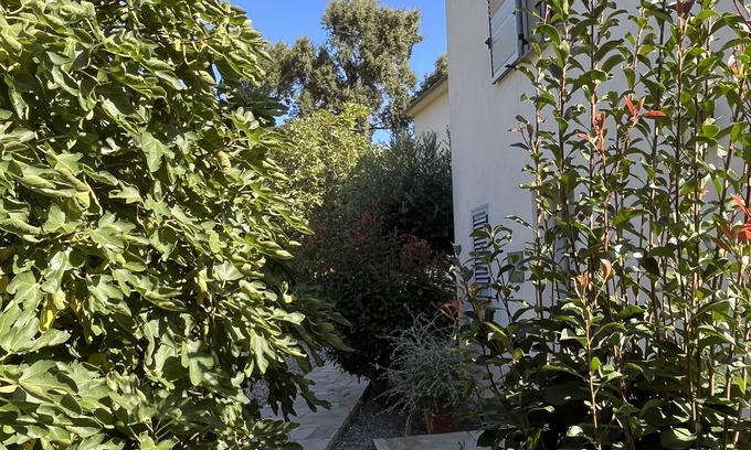 Erbalunga Villa | Villa en el corazón de Erbalunga perfecta para sus vacaciones !