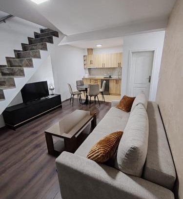 Banja Koviljaca Apartamento | Villa Jelena