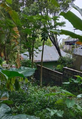 Wanagiri Casa | Villa Kubu Gitgit