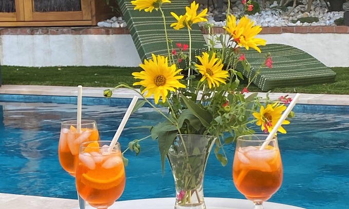 Chinon Casa | Villa L'ENTREPOTES with heated pool in CHINON's historic city center